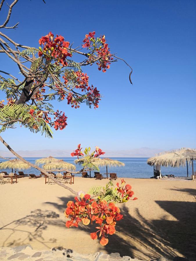 Nuweiba Lodge Exterior photo